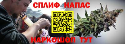 гашик Краснознаменск