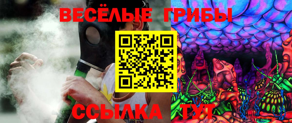Псилоцибиновые грибы Magic Shrooms Канаш